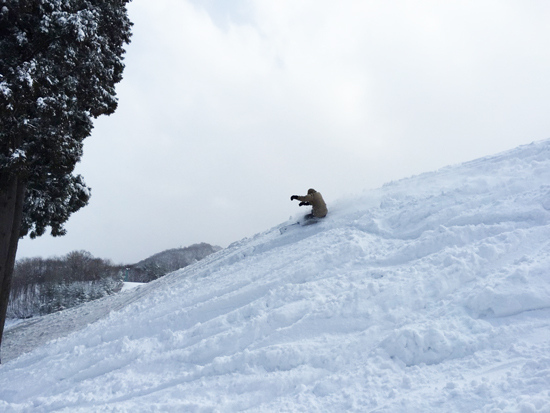 JAU × INDEPENDENT CAMP